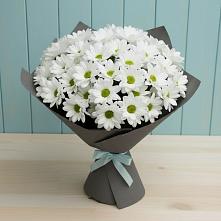 Букет цветов из:  Хризантемы #REPLACE_PRED# Воздвиженской